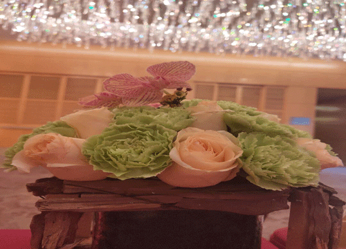 2019年年终钜惠活动